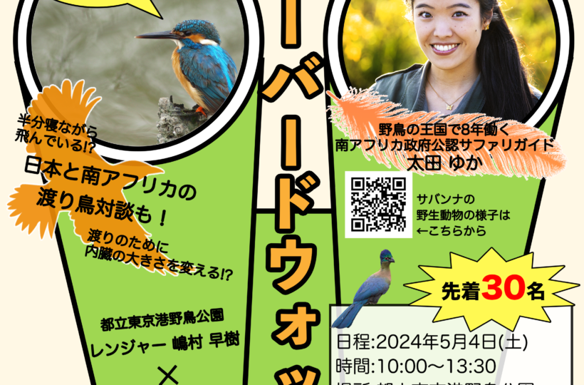 都立東京港野鳥公園 × YUKA on SAFARI イベント開催🦅🦆